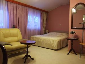 波热加Bed & Breakfast Vila Stanišić的一间卧室配有一张床、一把椅子和镜子