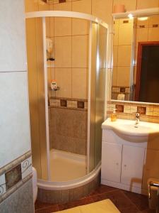 波热加Bed & Breakfast Vila Stanišić的带淋浴和盥洗盆的浴室