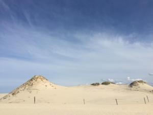 韦巴Willa Karolinka的沙漠中间的沙丘