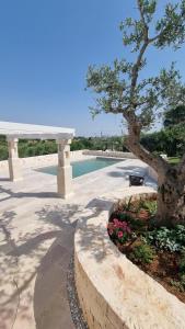 洛科罗通多Holiday Home Cosimo的游泳池旁的树和长凳
