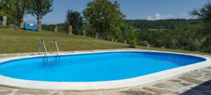 Бор и Шишарка的一座大型游泳池,在田野里拥有蓝色的水