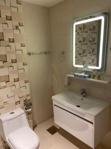 科威特Dolphin Continental Hotel的一间带卫生间、水槽和镜子的浴室