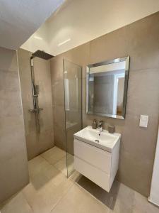 格拉茨Apartment Zum Dom的浴室配有盥洗盆和带镜子的淋浴