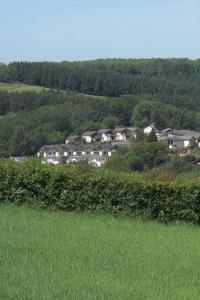 High BickingtonPine Lodge - Two Bedrooms, High Bickington close to Umberleigh , Barnstaple , Bideford的山顶上一群房子