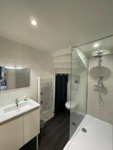 莫雷卢安河Escapade Moretaine - Cosy Studio的带淋浴、盥洗盆和卫生间的浴室