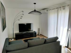 圣弗洛朗Jardin et 2 chambres centre St Florent的带沙发和平面电视的客厅