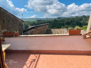 苏特里Verso Sud的从种植盆栽植物的房子的阳台上欣赏风景