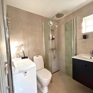 恩厄尔霍尔姆Havsbadens B&B的浴室配有卫生间、淋浴和盥洗盆。