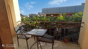 加格拉Samira的种植了植物的阳台的桌椅