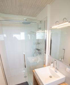 伦山前比绍夫斯海姆Ferienhaus Rhön-Auszeit的白色的浴室设有水槽和淋浴。