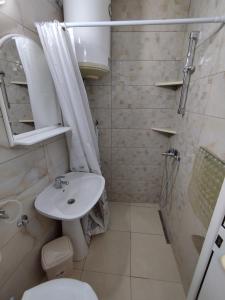 乌尔齐尼德约科维奇公寓酒店的一间带水槽、卫生间和淋浴的浴室