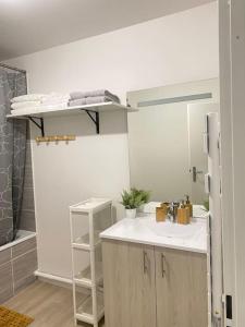 邦迪Bel appart T2 idéalement situé的一间带水槽和一张双层床的浴室