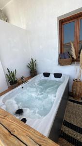 卡利诺岛Spongia Apartments Kalymnos的植物间的大浴缸