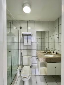 巴雷里尼亚斯Flat Gran Lençóis的一间带卫生间和水槽的浴室