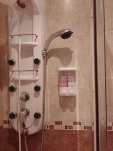WandaHospedaje Los Laureles的浴室内配有淋浴和头顶淋浴