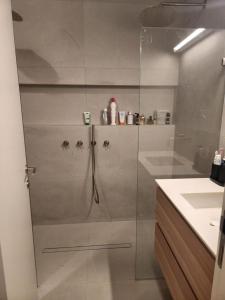 Temarahסוויטה פרטית ברמת צבי的浴室里设有玻璃门淋浴