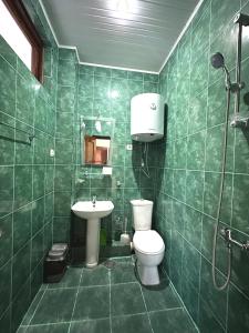 乌雷基Hotel Tbiliselebi的绿色瓷砖浴室设有卫生间和水槽