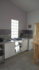 博卡奇卡Finca Colibri的厨房配有水槽和炉灶 顶部烤箱