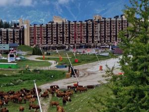 La Plagne TarentaiseBelle Plagne appartement pour 5 personnes的一群牛在大建筑前的田野里