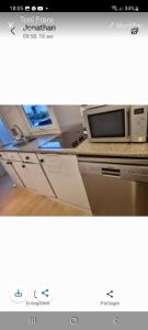 弗雷瑞斯Mobil home的一张厨房的照片,厨房的台面上配有微波炉