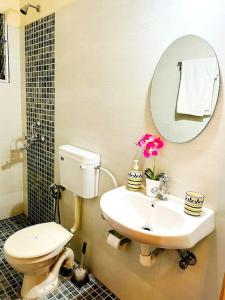 Arossim-CansaulimReev's Homestay: Luxury 2 Bedroom apartment的一间带卫生间、水槽和镜子的浴室