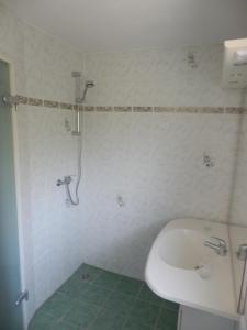 Dallgow布拉姆康普膳食公寓的带淋浴和盥洗盆的浴室