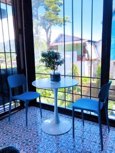 皮皮岛Blue View House Phi Phi的一张桌子,上面有两把椅子和盆栽植物