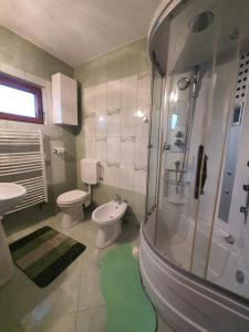 鲁克尔Pensiunea Geta的带淋浴、卫生间和盥洗盆的浴室