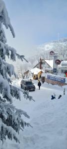 LupeniCabana Edelweiss的雪地里带车的雪地停车场