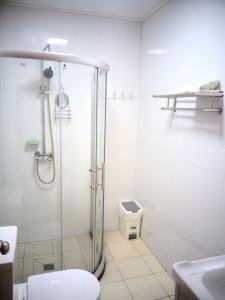 阿皮亚Alec's Hotel的带淋浴、卫生间和盥洗盆的浴室