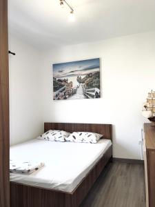 赫尔采格诺维Apartman Misovic的墙上照片的一张床位