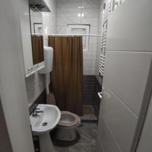 索科矿泉村Studia ANIKS的一间带卫生间和水槽的小浴室