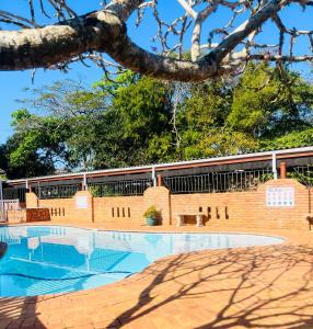 圣卢西亚23 St Lucia Sands的一座拥有砖墙和树木的游泳池