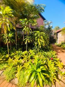 圣卢西亚23 St Lucia Sands的一座花园,花园内种有棕榈树和植物,位于一座房子前面