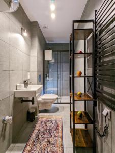 波兹南Apartamenty Strzelecka 34的一间带水槽、卫生间和淋浴的浴室