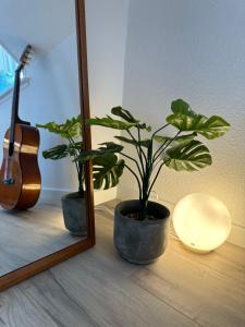 灵克宾Loftlejlighed i centrum的吉他旁边的镜子旁的植物