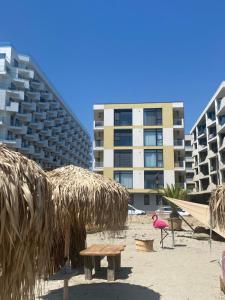 北马马亚-讷沃达里Apartament Stefan Mamaia Nord的海滩上设有长凳和一座大型建筑