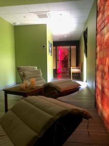 圣克洛德Akena Molinges - La Brocatelle的带沙发和绿色墙壁的客厅