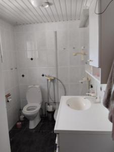 拉赫蒂Villa Anna的白色的浴室设有卫生间和水槽。