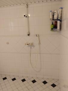 拉赫蒂Villa Anna的白色瓷砖浴室内带软管的淋浴