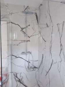Sorbo-OcagnanoTrès belle maison F3- 63 m² en Corse的带淋浴的浴室和玻璃门
