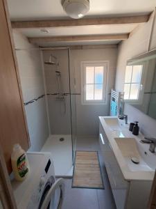 阿尔让河畔皮热6/8 pax COTTAGE - Oasis Village的带淋浴和洗衣机的浴室