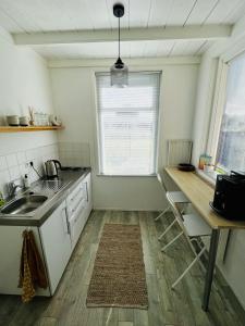 奥德多普Studio49的厨房配有水槽、桌子和窗户
