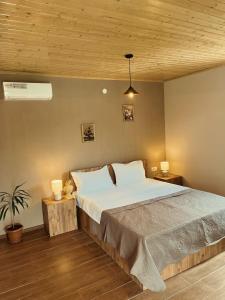 拉戈代希Mountain View的一间卧室设有一张大床和木制天花板