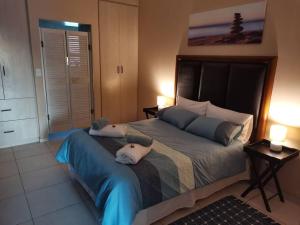鲸湾港Desert Pearl Self catering & Accommodation的一间卧室配有一张大床和两个枕头