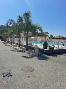 弗雷瑞斯Mobil home的游泳池旁的棕榈树围栏