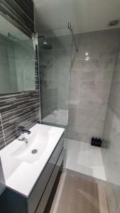 维希Appartement T3 à deux pas du centre-ville的白色的浴室设有水槽和淋浴。