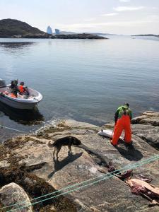 ISIKKIVIK Saarloq的水里的人,狗和船