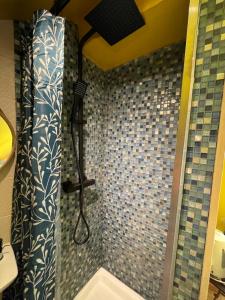 伊尔基希-格拉芬斯塔登SousmonToi的浴室内配有淋浴和头顶淋浴