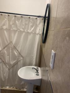 奇莱西托Departamentos Cristo del Portezuelo的一间带水槽和淋浴帘的浴室